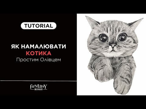 Видео: Як намалювати котика простим олівцем | Покрокова інструкція для початківців