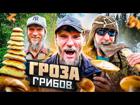 Видео: ГРИБАБАС И ЕГО СВЯТАЯ ПРОСТОТА (ГРОЗА ГРИБОВ) [ГЕРОИ НАШЕГО ВРЕМЕНИ #17]