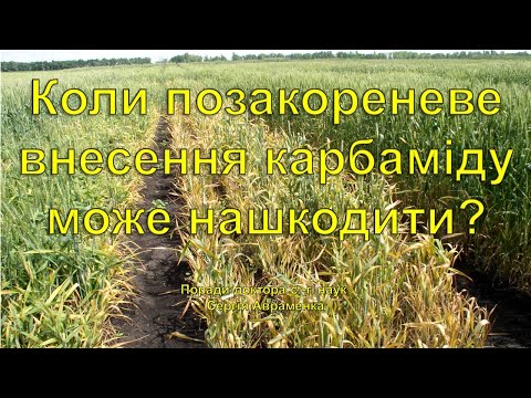 Видео: Коли карбамід може нашкодити?