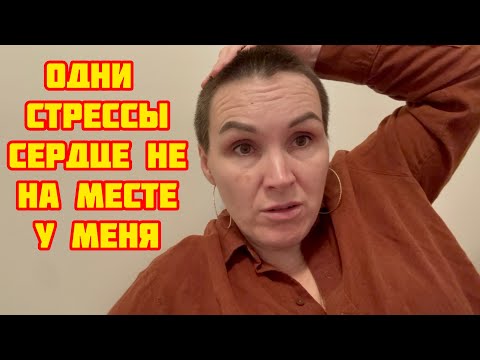 Видео: Одни стрессы…Сердце не на месте у меня((