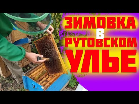 Видео: Как собрать гнездо пчел в зиму в ульях рута. Зимовка в рутовском улье