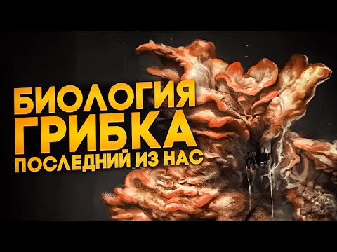 Видео: Как работает грибок из The Last of Us | Биология "Последних из нас"