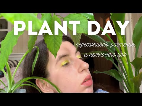 Видео: большая пересадка растений || цветочный влог