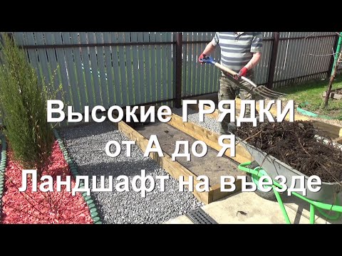 Видео: 60. Высокие грядки от А до Я. Высаживаем правильно можжевельник (тую)