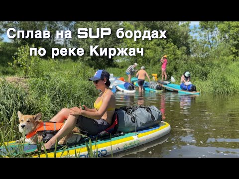 Видео: Сплав на Sup бордах. Река Киржач. 2024