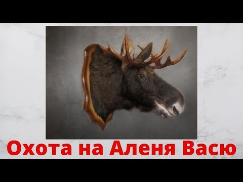 Видео: Как проучить Аленя Василия