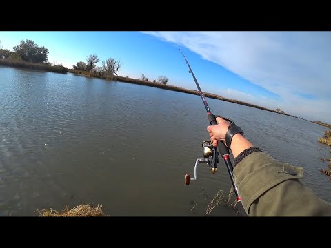 Видео: Рыбалка в Ноябре. Маяки, Днестр за 4 -м. Чеком. ХОЛОДНО - МОКРО - ВЯЛАЯ - РЫБАЛКА.