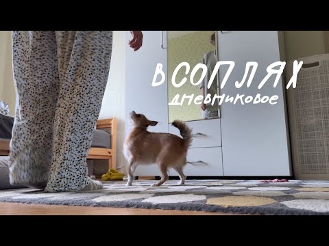 Видео: Простая жизнь | заболела 😪 | разбираю коробки | коза выучила новый трюк