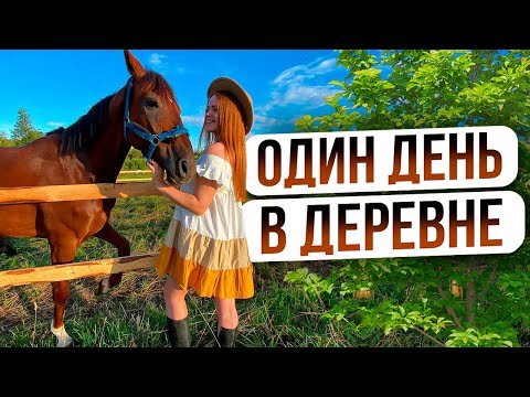 Видео: 24 ЧАСА В ДЕРЕВНЕ ЗА 12 МИНУТ | Реальная жизнь фермеров в деревне