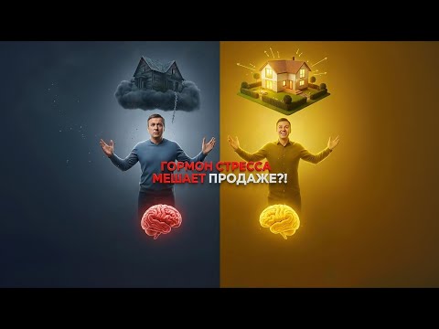 Видео: Кортизол против дофомина: Почему продать квартиру сложнее,чем купить?