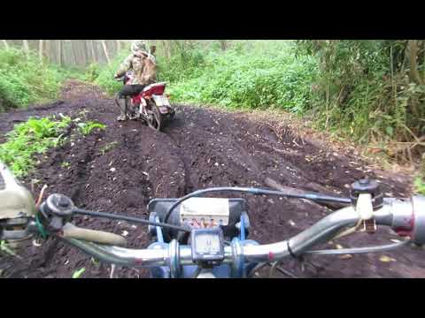 Видео: Стохід