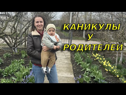 Видео: Поход на сельский рынок/Сюприз от родственника/ Пенсии в Молдове 😤