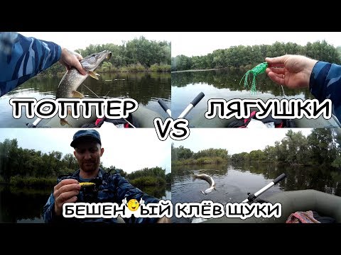 Видео: Поппер против лягушки | Бешеный клев щуки | 2017