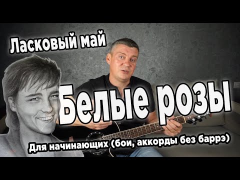 Видео: Ласковый май - Белые розы, на гитаре (для начинающих)