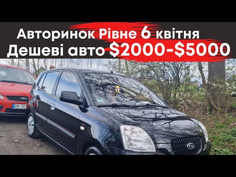 Видео: Авторинок Рівне дешеві авто від $2000 до $5000 #авторинокрівне