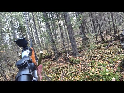 Видео: Охота на Рябчика СЕКРЕТЫ Успешной Охоты. 3 серия
