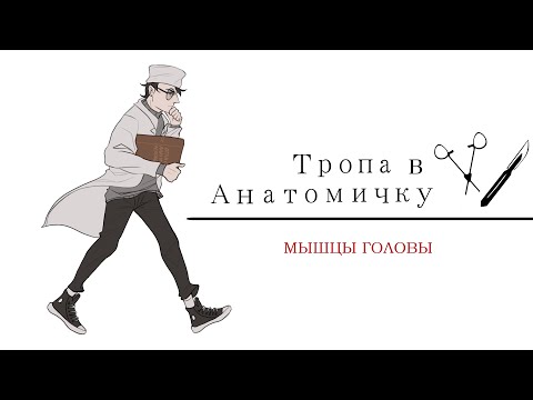 Видео: Миология. Мышцы головы