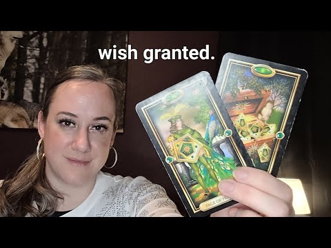 Видео: Посмотрите это 11 ноября (и больше никогда)