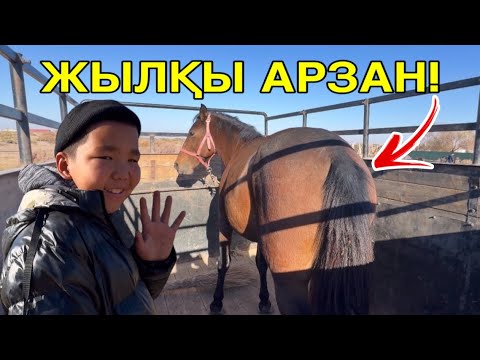 Видео: ШЫМБАЙ АТ БАЗАРЫ БАХАЛАРЫ ӨЗГЕРДИ!  9- НОЯБР 2025! /ЖЫЛҚЫ БАЗАР/ЛОШАДЬ РЫНОК/ОТ БОЗОР