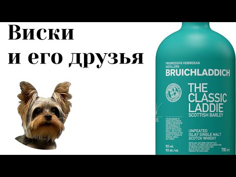 Видео: Дегустация BRUICHLADDICH THE CLASSIC LADDIE