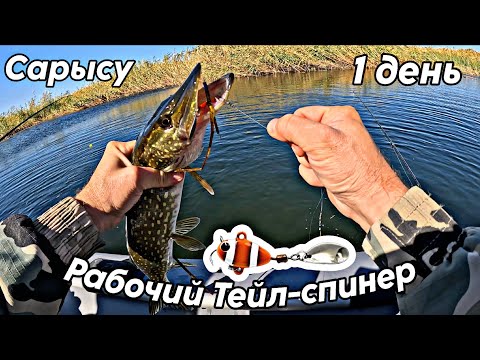 Видео: Тейл спинер ловит всех.Сарысу день 1.