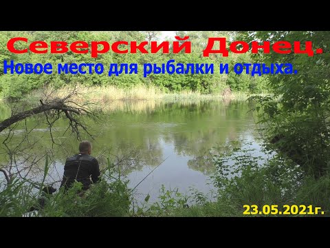 Видео: Северский Донец. Новое место для рыбалки и отдыха.