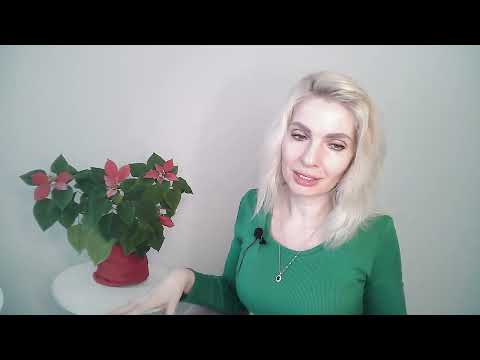 Видео: Паранойя нарцисса / Параноидное мышление нарцисса