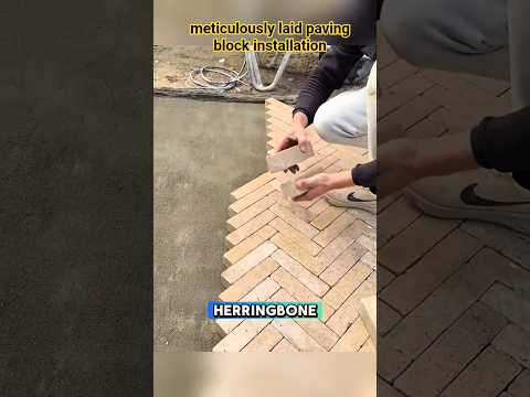 Видео: тщательно уложенная тротуарная плитка #шорты #строительство