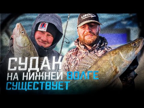 Видео: СУДАК на Нижней Волге. Столько рыбы я давно не видел!