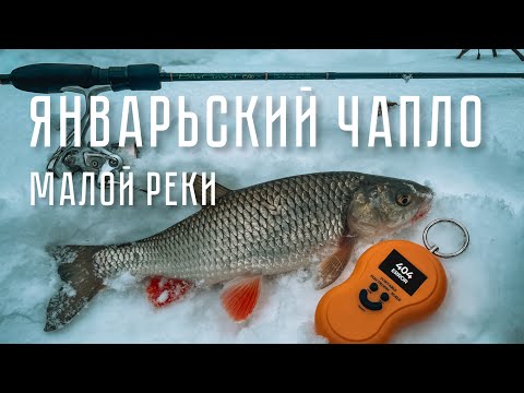 Видео: ГОЛАВЛЬ В ЯНВАРЕ! Первый ТРОФЕЙчик сезона 2024 года. РЫБАЛКА на спиннинг.