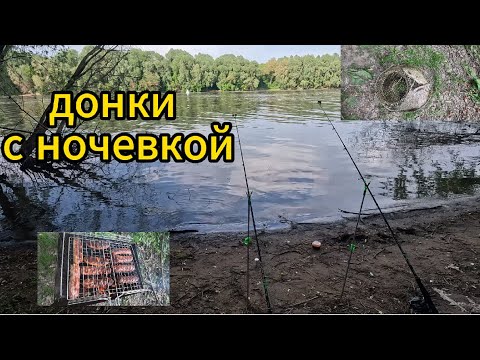 Видео: Рыбалка с ночевкой! На речку с донками!