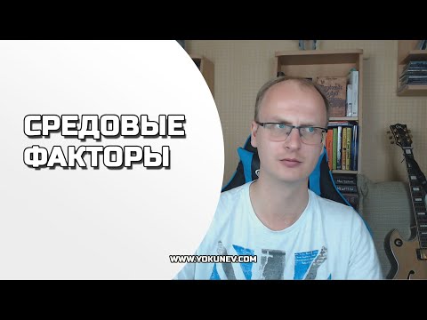 Видео: Как создать реалистичный глубокий мир? Средовые факторы