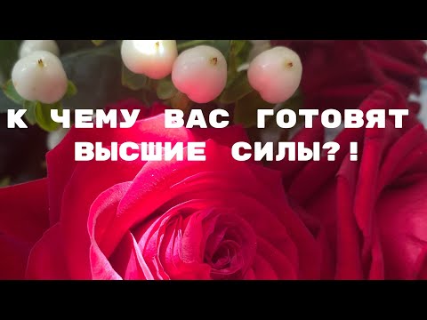 Видео: К тому, чтобы вы заново научились любить себя и мир вокруг🍀🌷❤️