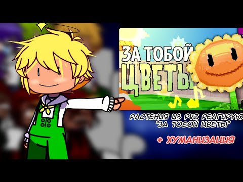 Видео: || Реакция растений из PVZ на "За тобой цветы" || РУС|| Хуманизация||