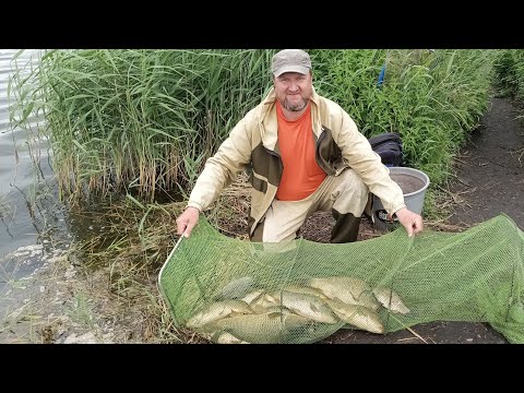 Видео: Платная рыбалка тоже бывает интересной!