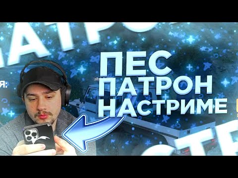 Видео: КАК К МАРАСУ ШАКУРУ НА СТРИМ ЗАШЁЛ ПЕС ПАТРОН! [GTA 5 RP - Нарезка]