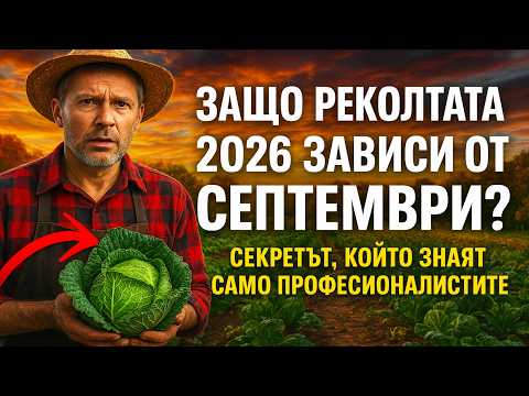 Видео: Защо реколтата ви от 2026 г. зависи от септември? 🤫 Секретът, който знаят само професионалистите.