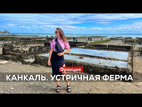 Видео: Холодное вино и устрицы. Канкаль. Франция.