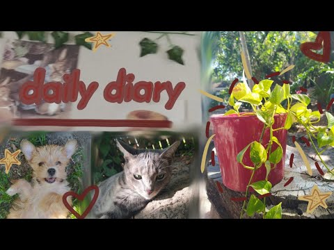 Видео: ↣♡daily diary: обычный день с питомцами, новинки, влог🐛🧇