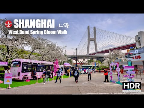 Видео: Весенняя прогулка по Вест-Бунду и мосту Нанпу - Прогулка по Шанхаю - 4K HDR - 上海 西岸 南浦大桥