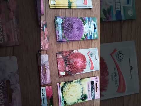 Видео: Лучшие СЕМЕНА АСТРА ПОСЕВ