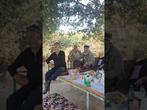 Видео: 31 октября 2025 г.