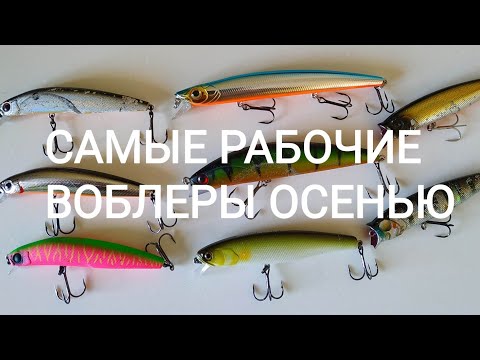 Видео: Самые рабочие воблеры осенью!Kosadaka Intra XS 95F Itumo Clipper 120F Strike Pro Wiggle Stick 140 др