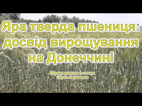 Видео: Досвід вирощування ярої твердої пшениці на Донеччині