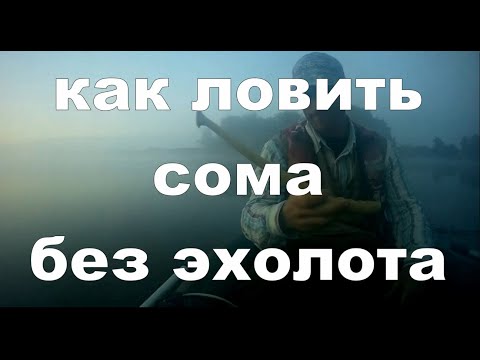 Видео: КАК ЛОВИТЬ СОМА БЕЗ ЭХОЛОТА #рыбалка #сом #квок