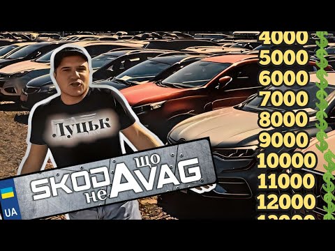 Видео: Автобазар м.Луцьк📌12.09.24📞0978911118👉перевірка авто🔬 @SKODAVAG