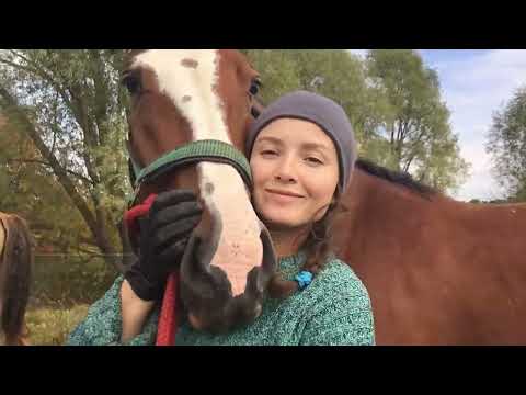 Видео: ЖИЗНЬ В ДЕРЕВНЕ С ЛОШАДЬМИ! ПОСЛЕ ХОЗЯЙСТВЕННОЙ РУТИНЫ ЗАНИМАЕМСЯ С ЛОШАДЬЮ. ЖИЗНЬ ПРОСТЫХ ЛЮДЕЙ