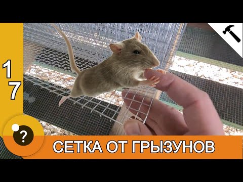 Видео: Сетка от грызунов и монтаж ветрозащиты. Полы в каркасной бане. БАНЯ 25м2. #17
