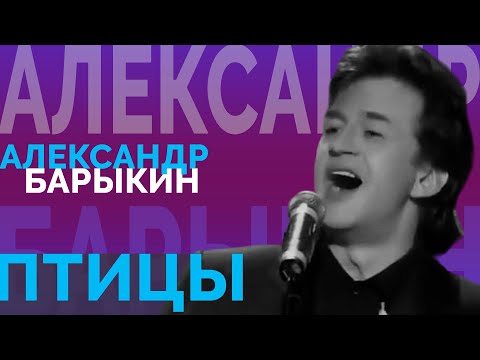 Видео: Александр Барыкин - Птицы
