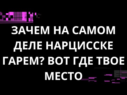 Видео: ЗАЧЕМ НА САМОМ ДЕЛЕ НАРЦИССКЕ ГАРЕМ?